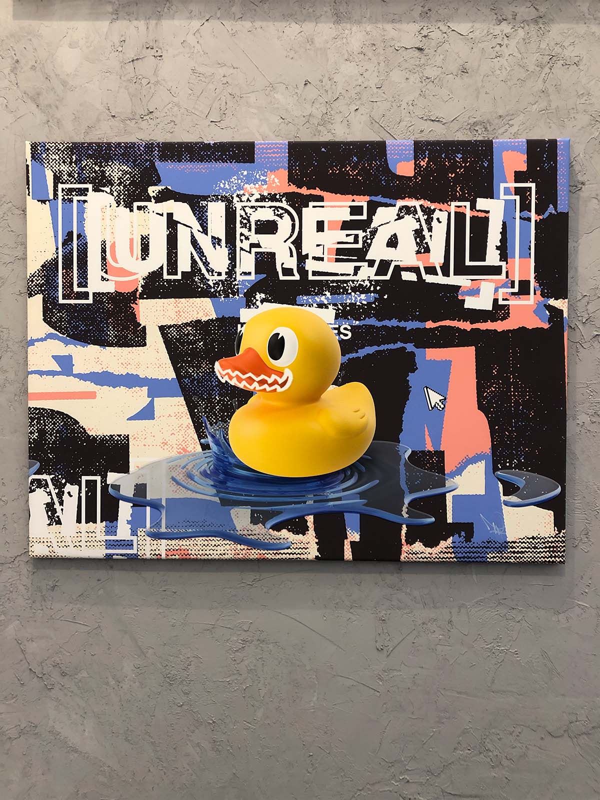 Duck canvas